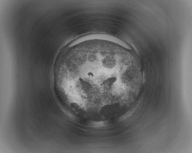 X0000111810349200909031435