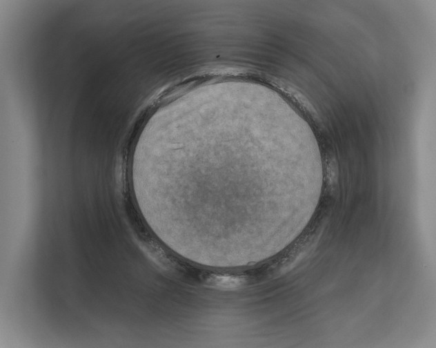 X0000111810352200909031435