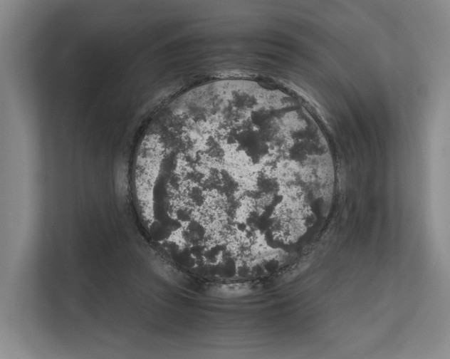 X0000111810353200909031435