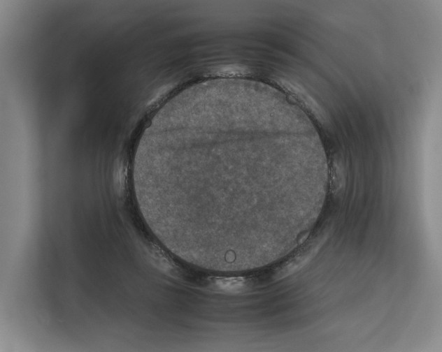 X0000111810355200909031435