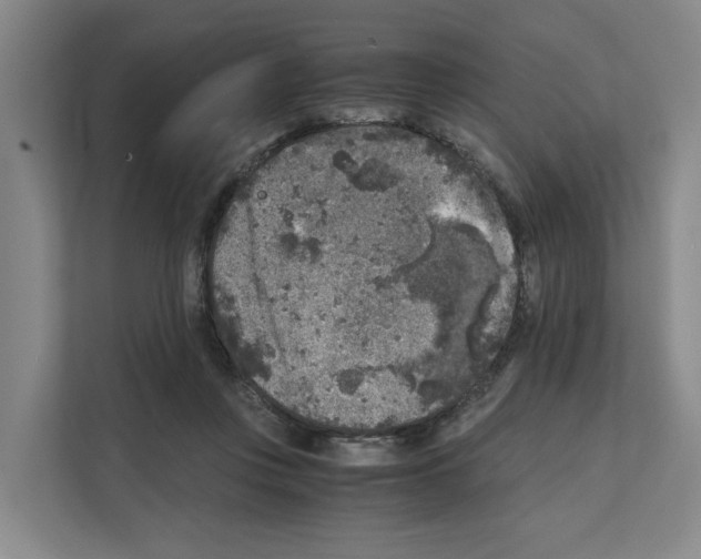 X0000111810359200909031435