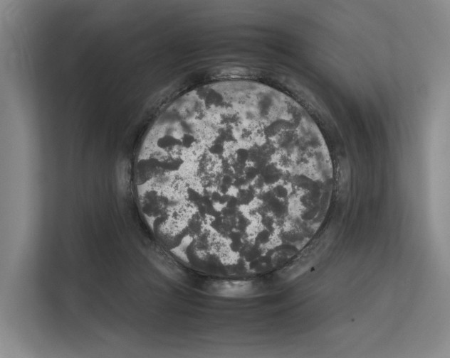 X0000111810361200909031435