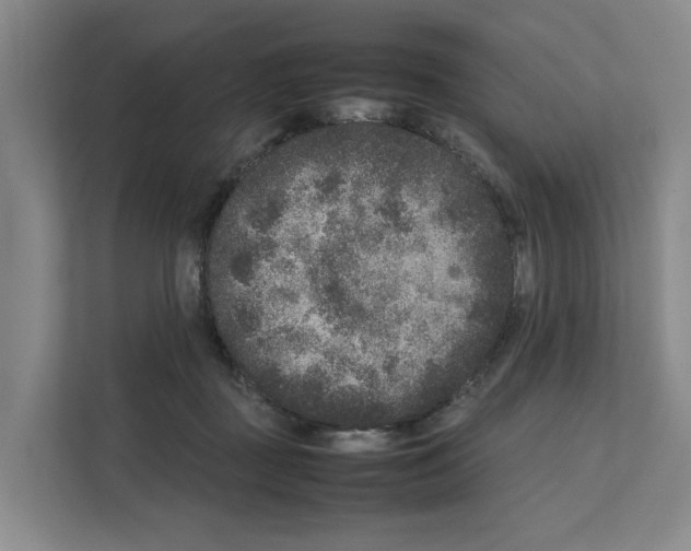 X0000111810363200909031435