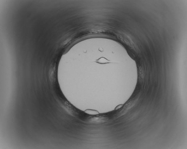 X0000111810364200909031435