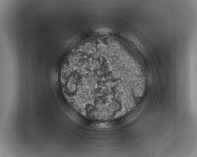 X0000111810365200909031435