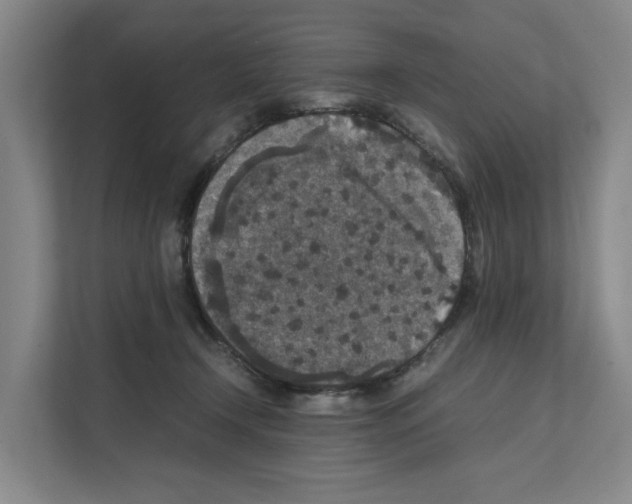 X0000111810366200909031435