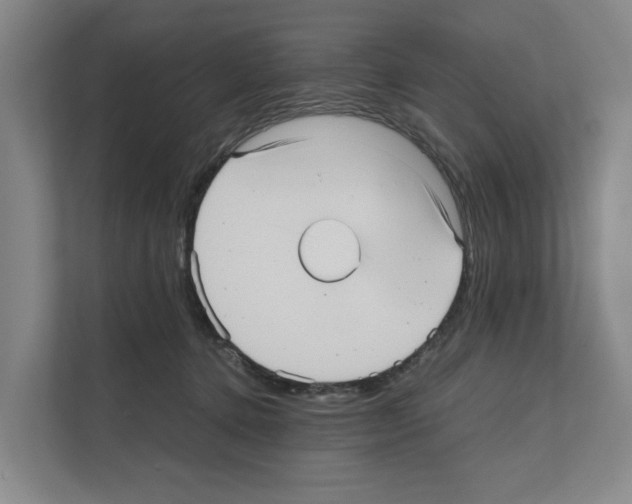X0000111810368200909031435