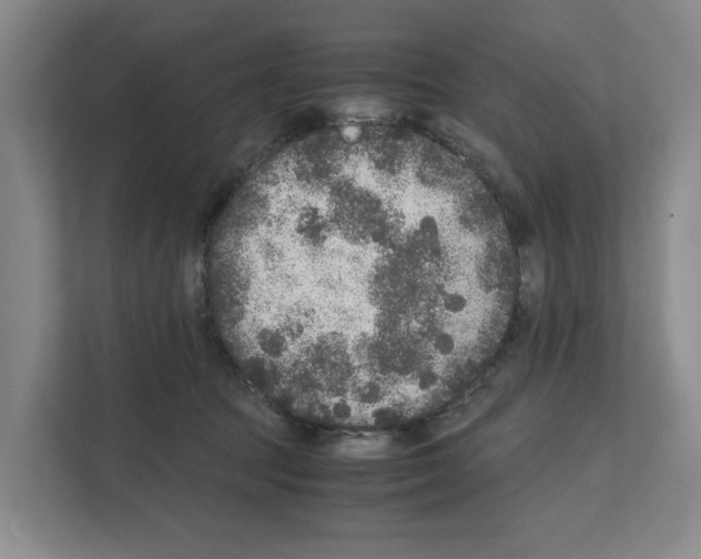 X0000111810369200909031435