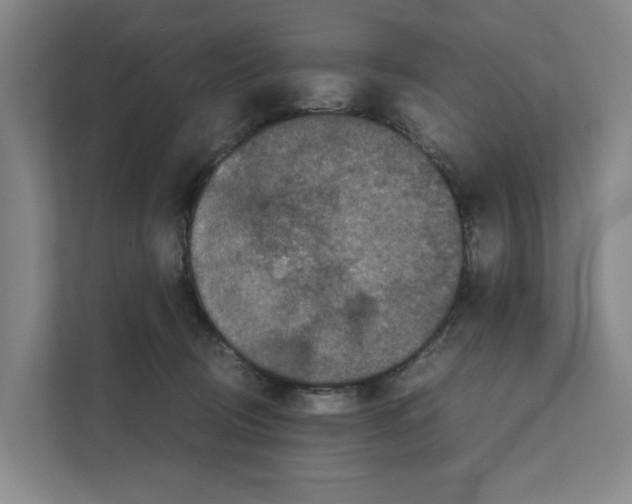 X0000111810370200909031435