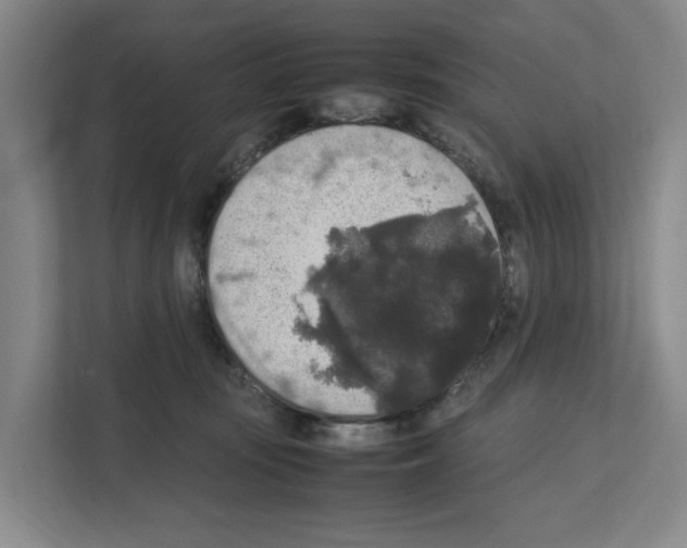 X0000111810371200909031435