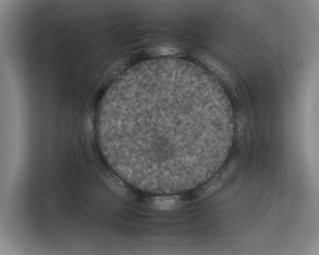 X0000111810373200909031435
