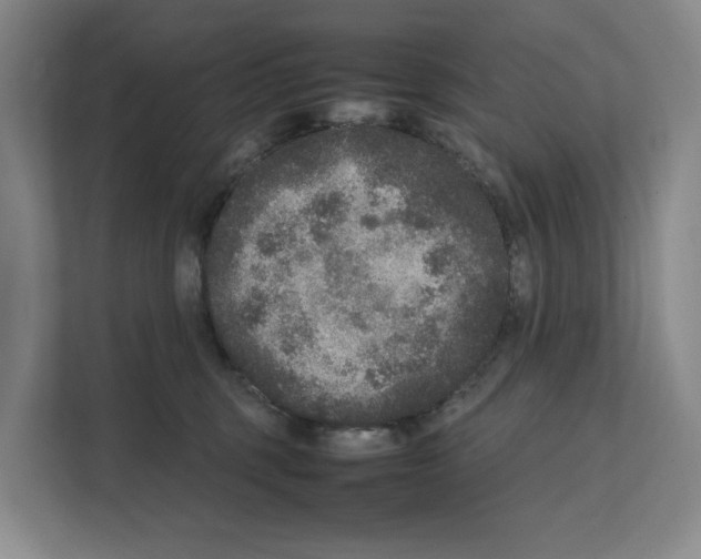 X0000111810375200909031435