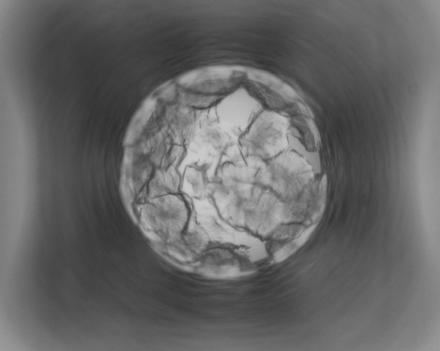 X0000111810377200909031435