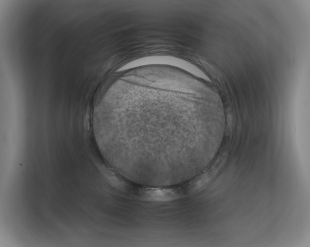 X0000111810379200909031435