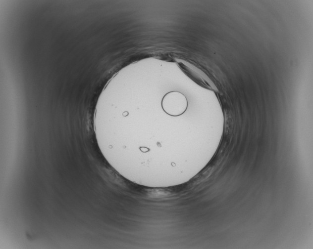 X0000111810380200909031435