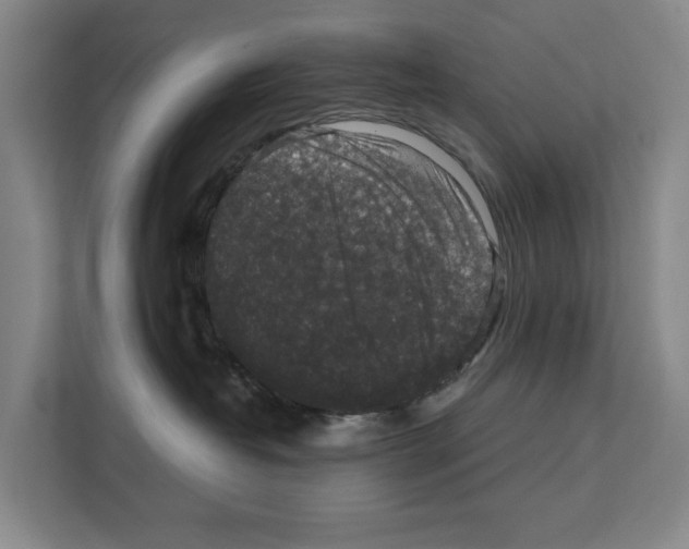 X0000111810382200909031435