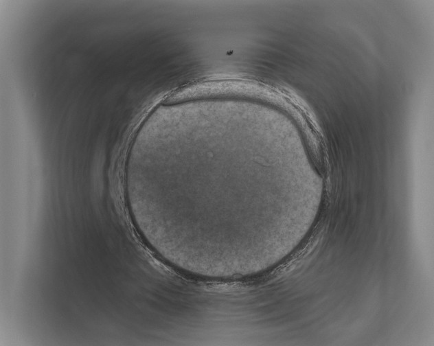 X0000111810385200909031435