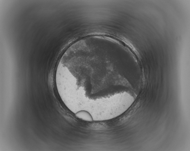 X0000111810386200909031435