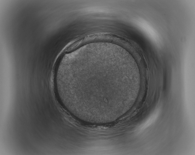 X0000111810387200909031435