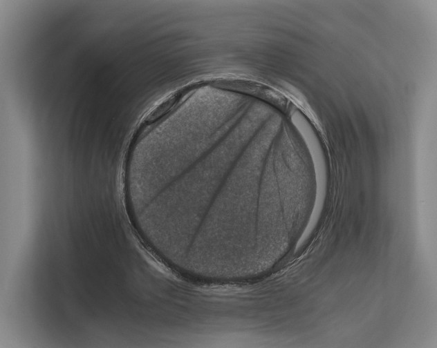 X0000111810389200909031435