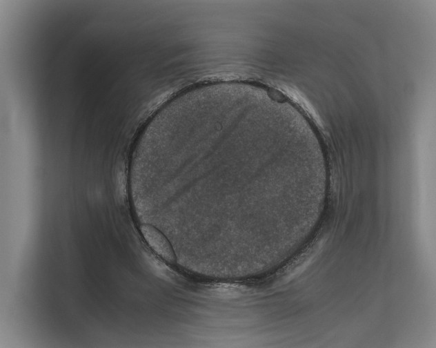 X0000111810393200909031434