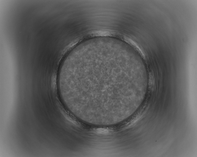 X0000111810394200909031434