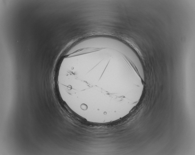 X0000111810395200909031434