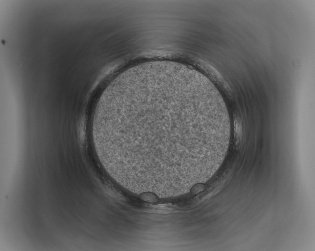 X0000111810396200909031434