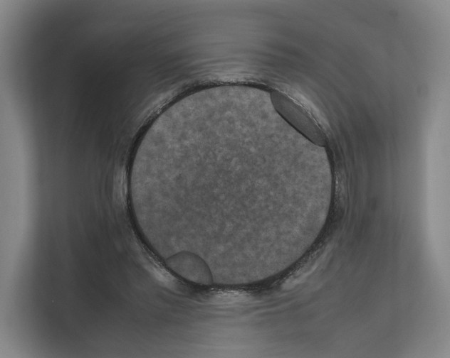 X0000111810397200909031434
