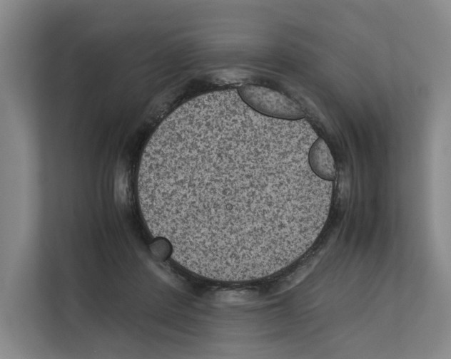 X0000111810408200909031434