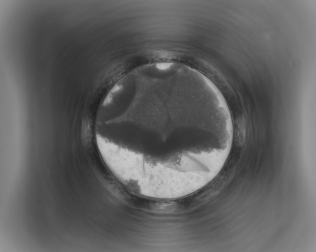 X0000111810410200909031434