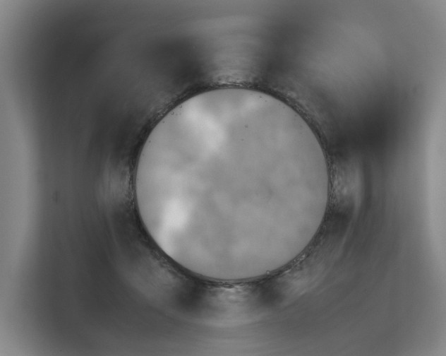 X0000111810411200909031434