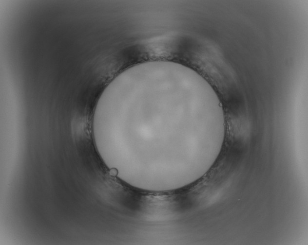 X0000111810419200909031434