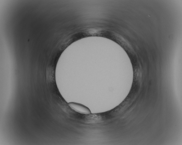 X0000111810421200909031434