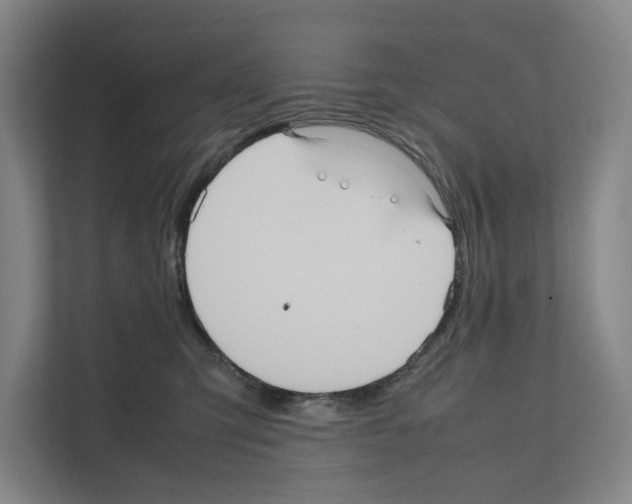 X0000111810423200909031434