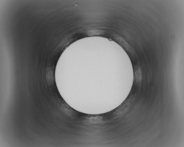 X0000111810426200909031434