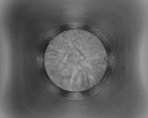 X0000111810427200909031434