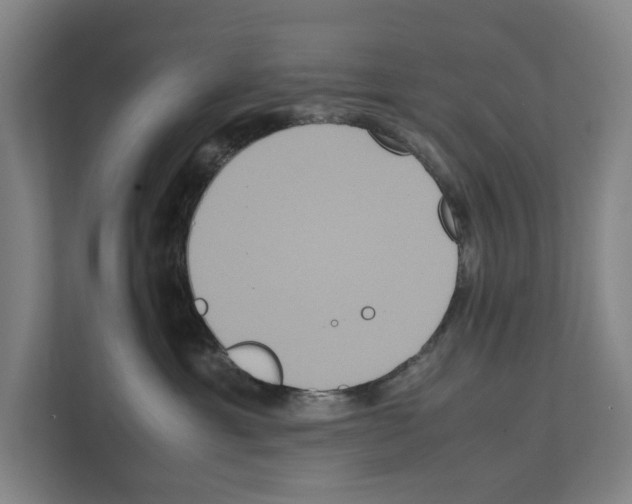 X0000111810429200909031434