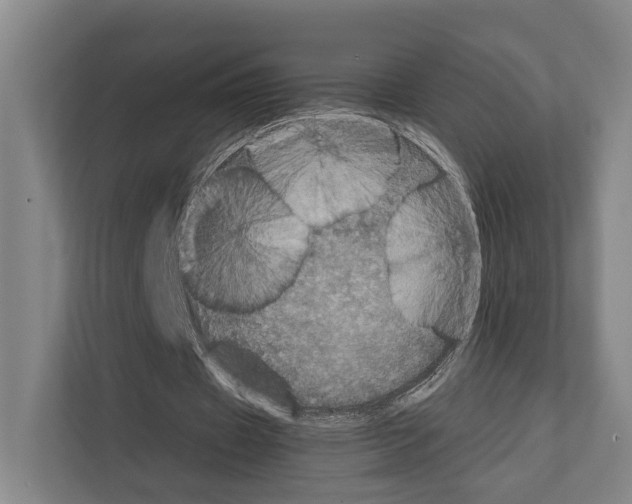 X0000111810433200909031433