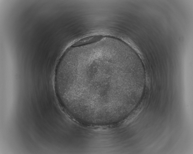 X0000111810434200909031433
