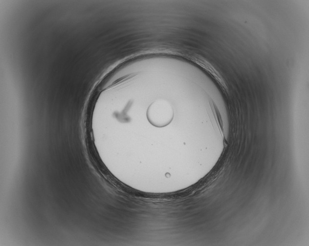 X0000111810436200909031433