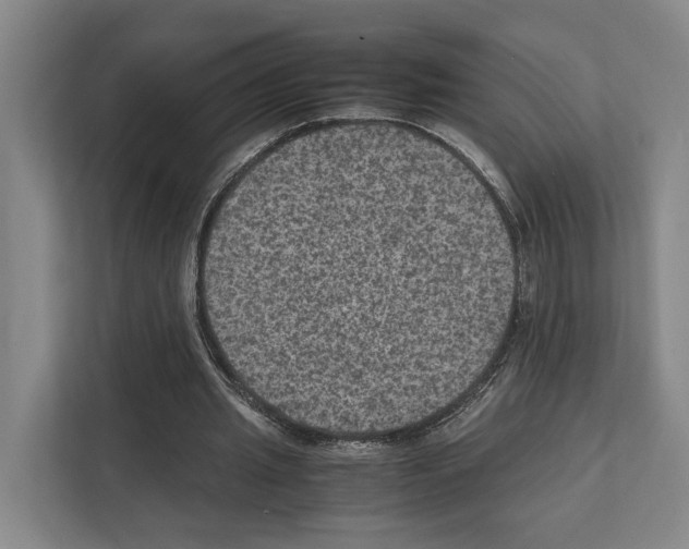 X0000111810437200909031433