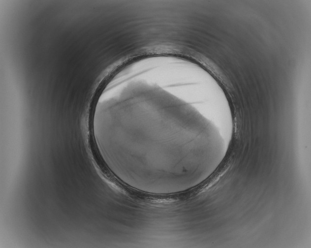 X0000111810438200909031433