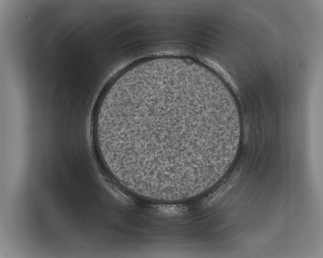 X0000111810439200909031433