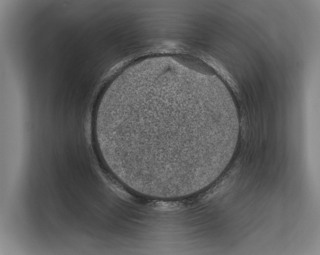 X0000111810442200909031433