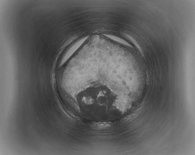 X0000111810443200909031433