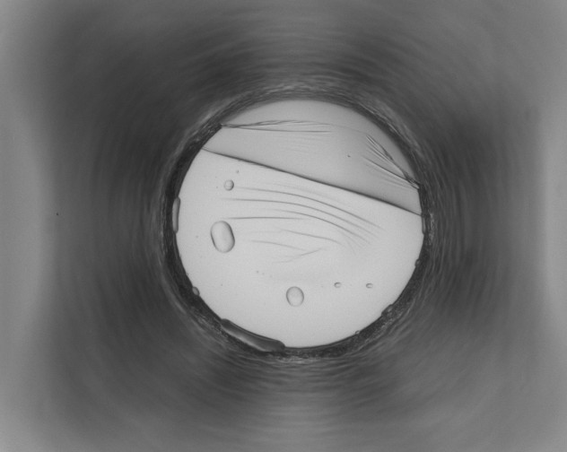 X0000111810444200909031434