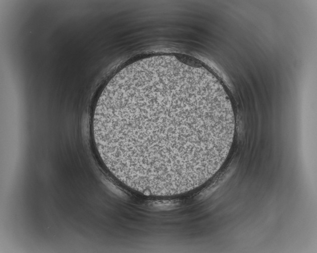 X0000111810445200909031434