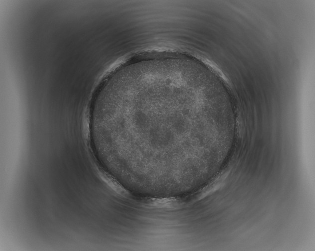X0000111810446200909031434