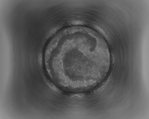 X0000111810447200909031434